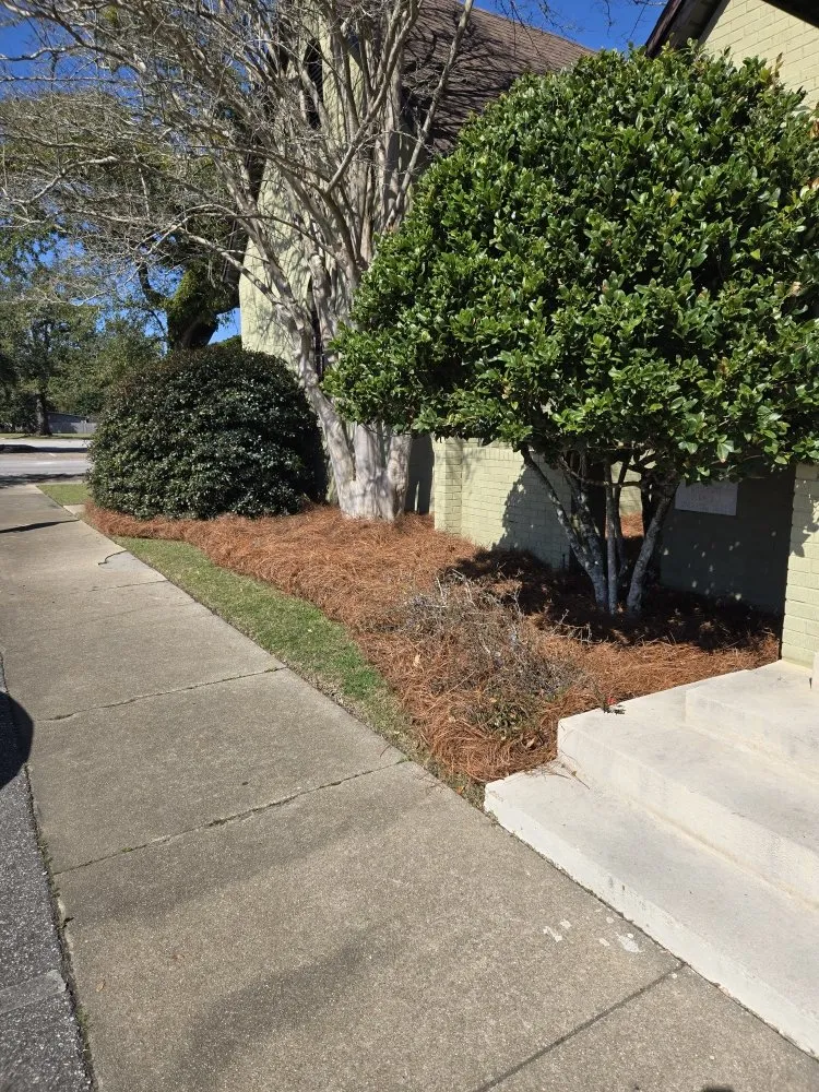 Professional landscape design in Foley, AL by Crossover Lawn Care