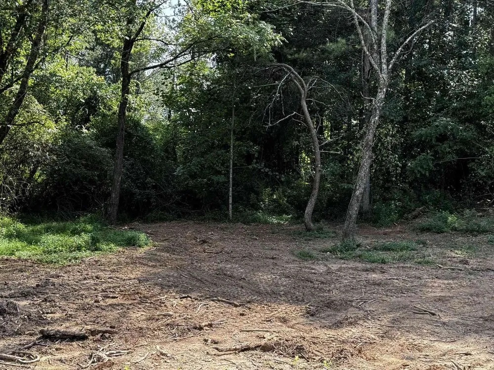 Top-rated landscape design in Sweetwater, TN by Crossroads Construction & Land Clearing