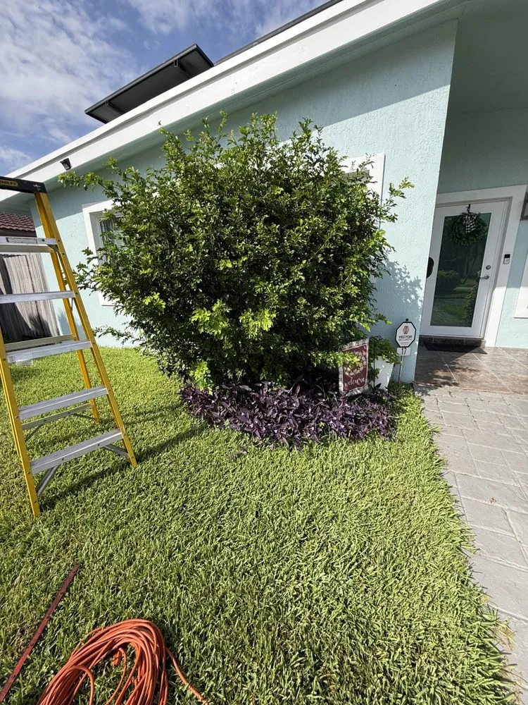 Affordable landscape installation in Coconut Creek, FL by Crouse lawn services