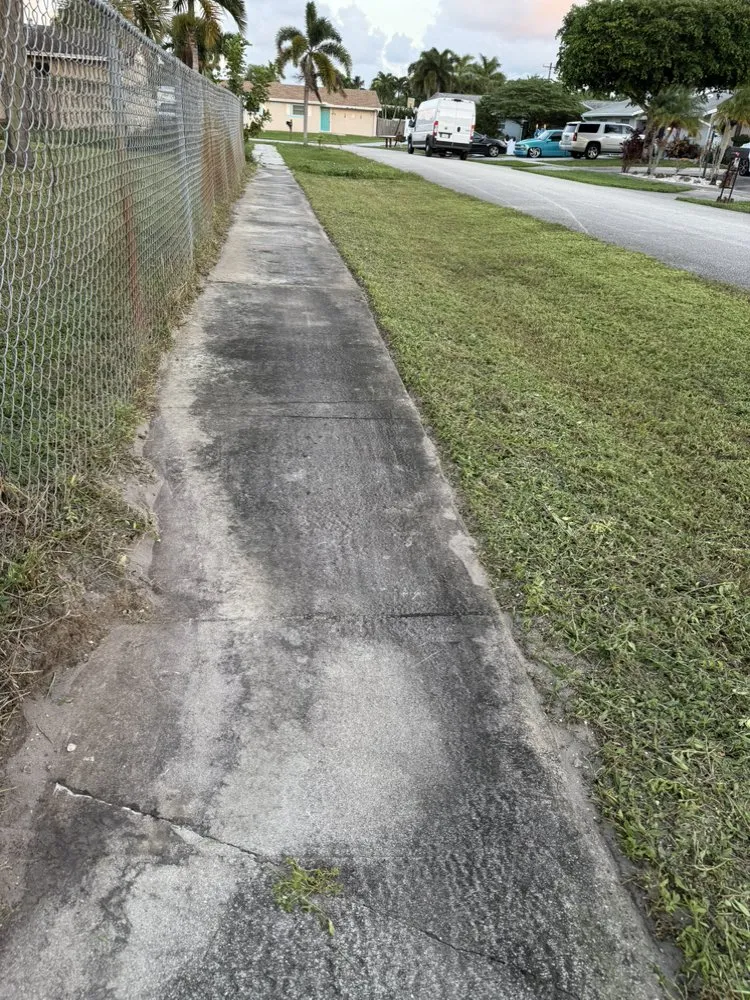 Local yard cleanup service experts serving Coconut Creek, FL - Crouse lawn services