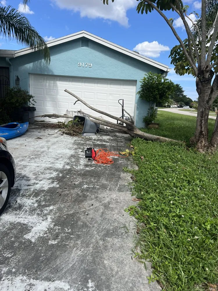 Reliable residential landscaping for beautiful yards across Coconut Creek, FL - Crouse lawn services