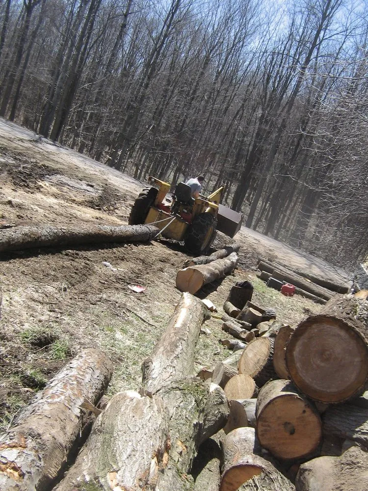 Trusted outdoor landscaping with custom design across Pulaski, NY - Crouse Tree Service