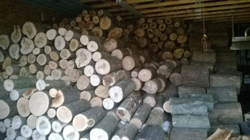 Professional lawn care service in Pulaski, NY by Crouse Tree Service