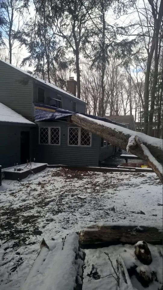 Reliable landscaping services for outdoor upgrades in Pulaski, NY by Crouse Tree Service