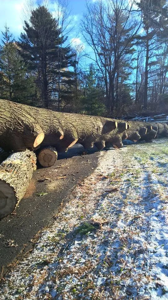 Local landscape design with custom design across Pulaski, NY - Crouse Tree Service