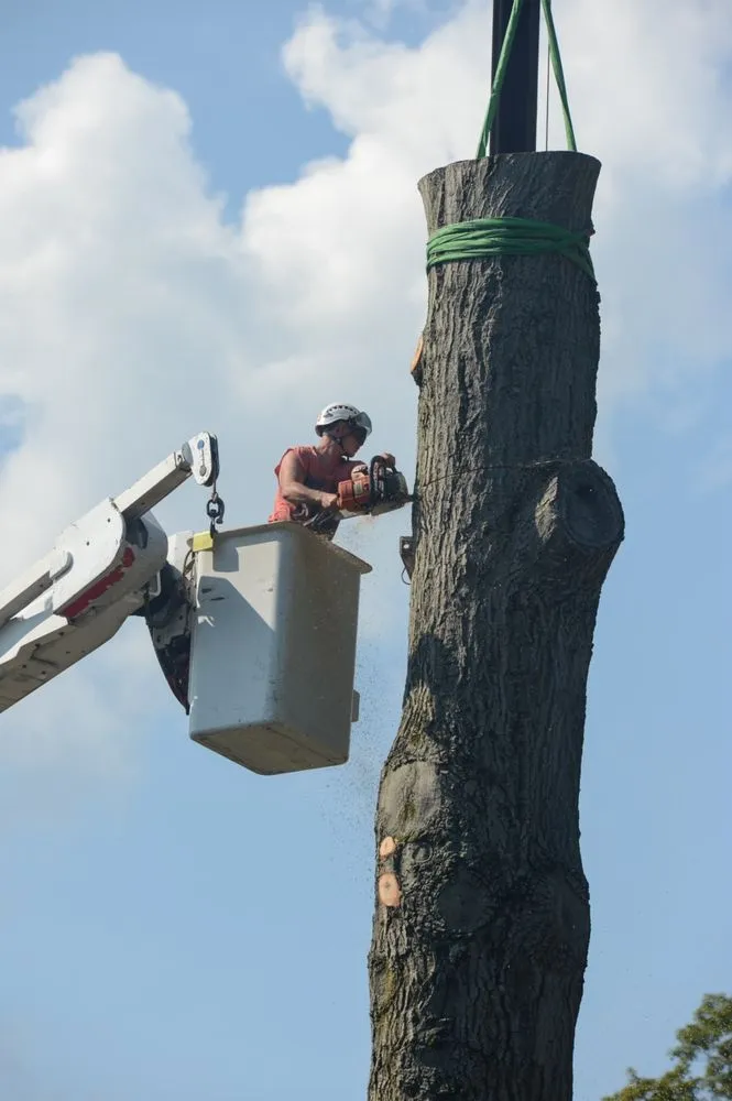 Professional lawn care service for residential properties across Rome, NY - Crouse's Cutting Tree & Landscape Service