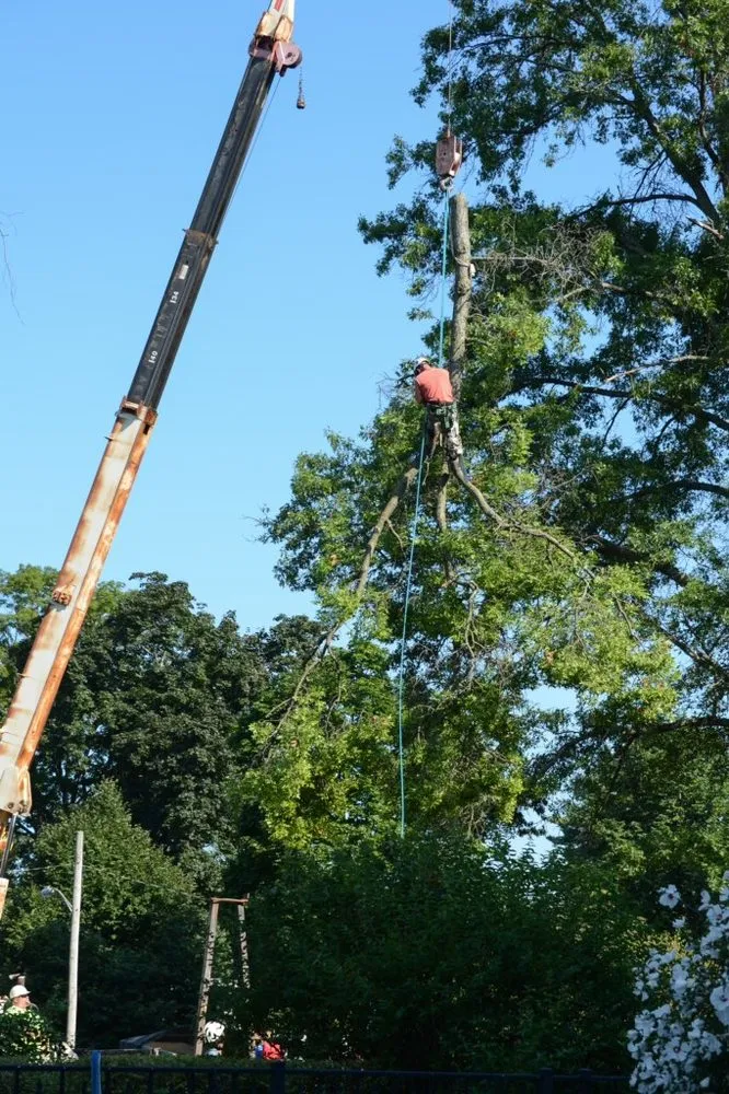Professional lawn care service experts serving Rome, NY - Crouse's Cutting Tree & Landscape Service