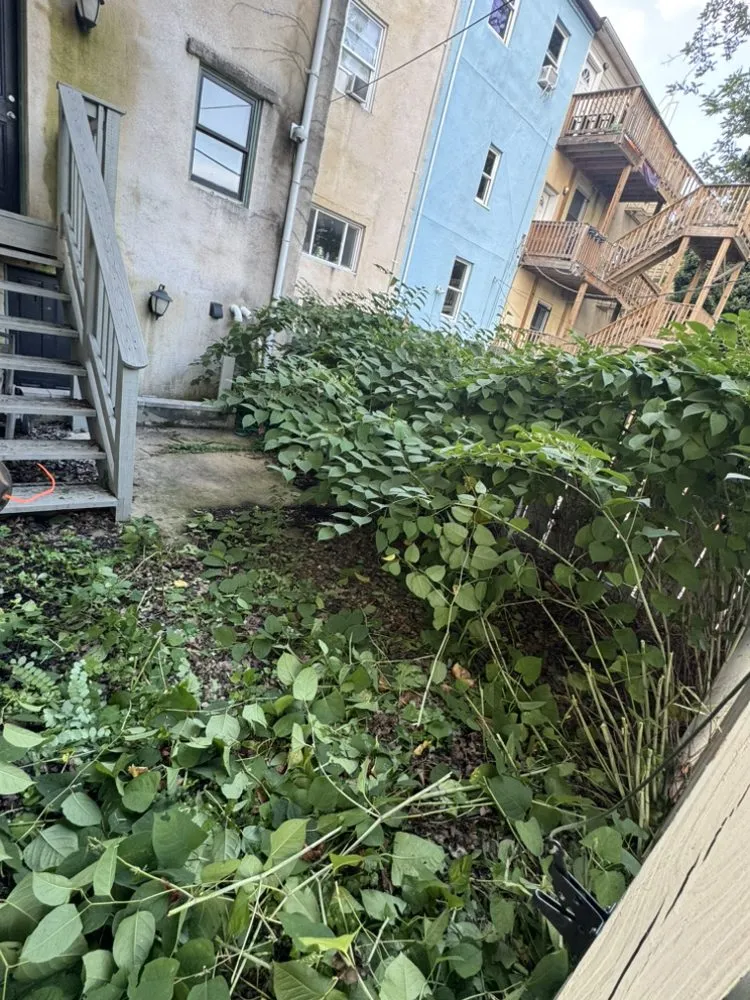 Local residential landscaping in Essex, MD - Crow Truck’s Hauling