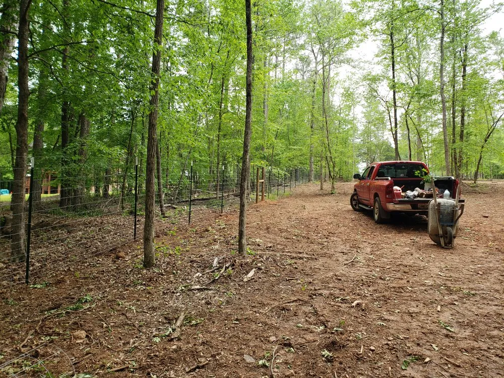 Affordable yard cleanup service for residential properties across Bogart, GA - Crowe Creations
