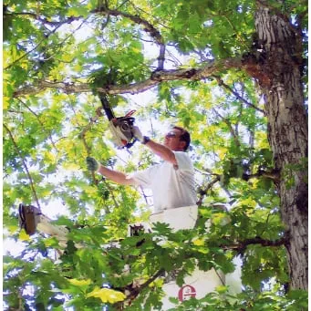 Reliable lawn care service for outdoor upgrades in Astatula, FL by Crowe's Mower Shop