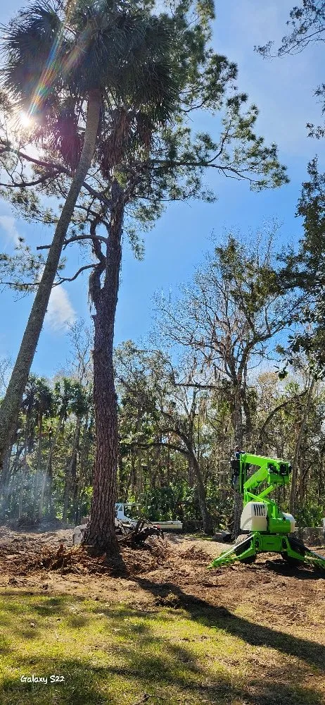 Trusted landscaping services in Lecanto, FL - Crowes Nest Land Management