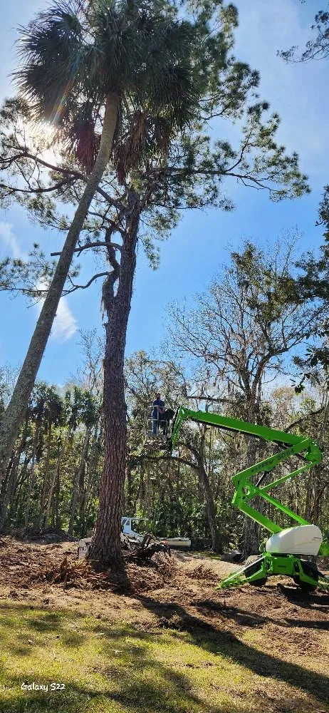 Top-rated residential landscaping in Lecanto, FL - Crowes Nest Land Management