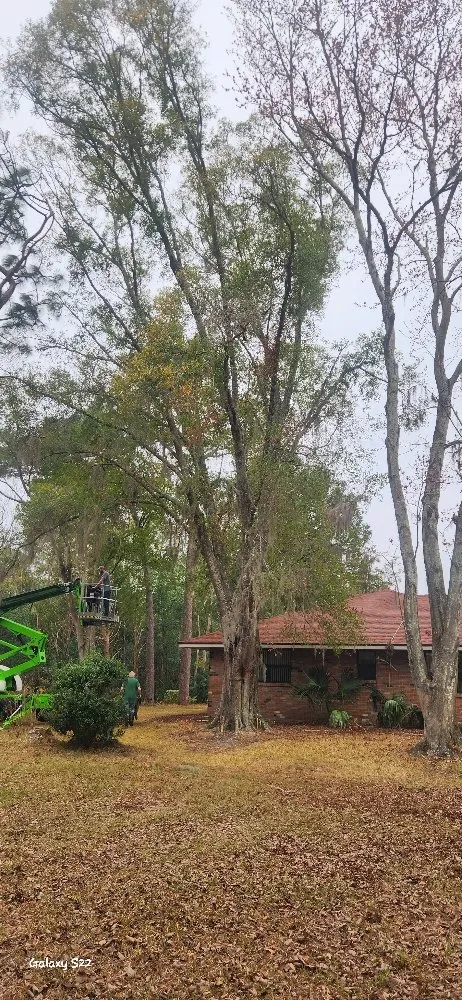 Affordable yard maintenance for residential properties across Lecanto, FL - Crowes Nest Land Management