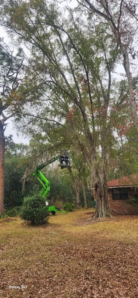 Expert lawn care service with custom design in Lecanto, FL by Crowes Nest Land Management