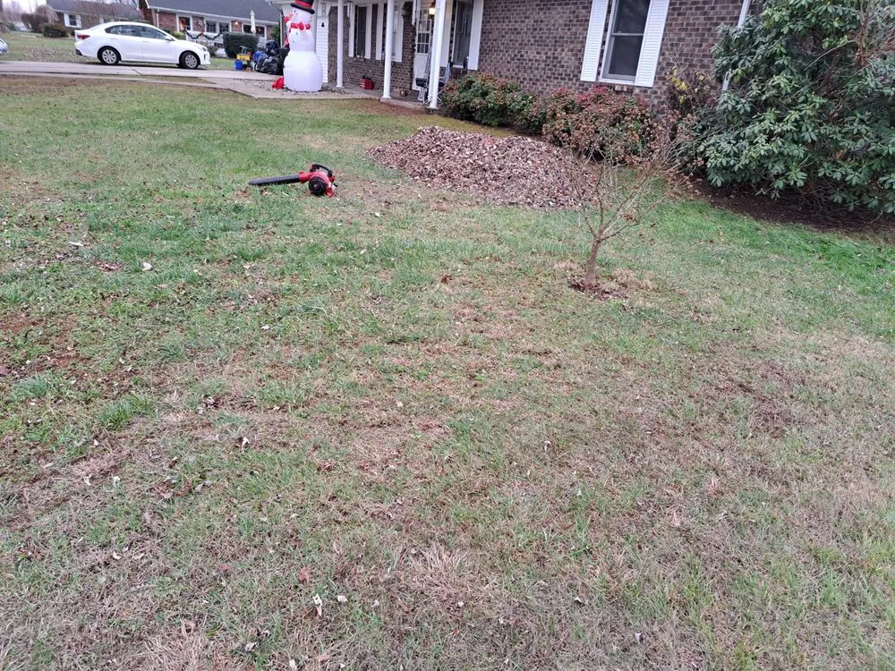 Professional yard maintenance in Nancy, KY - Crowe's Nest Landscaping