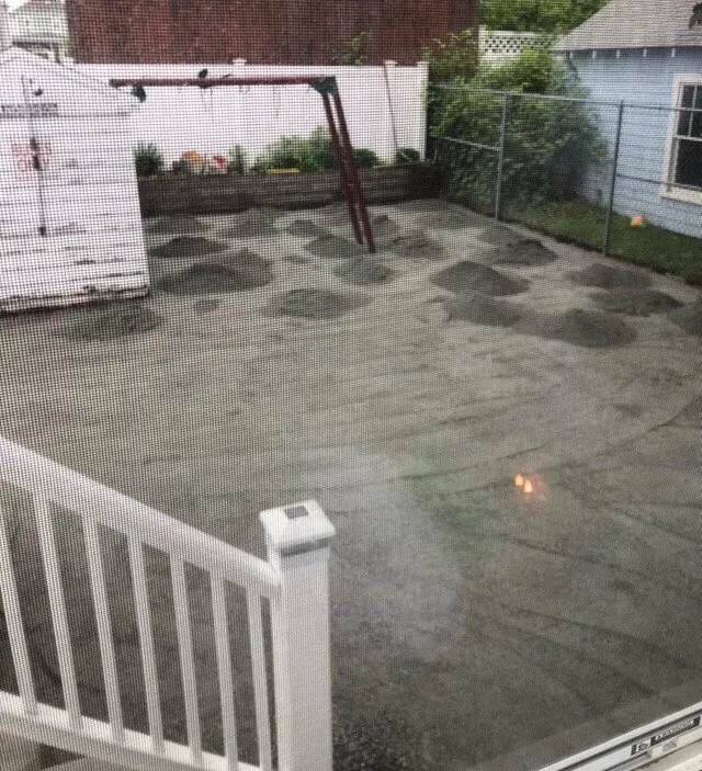 Expert outdoor landscaping for homes in Medford, MA by Crowley's Concepts