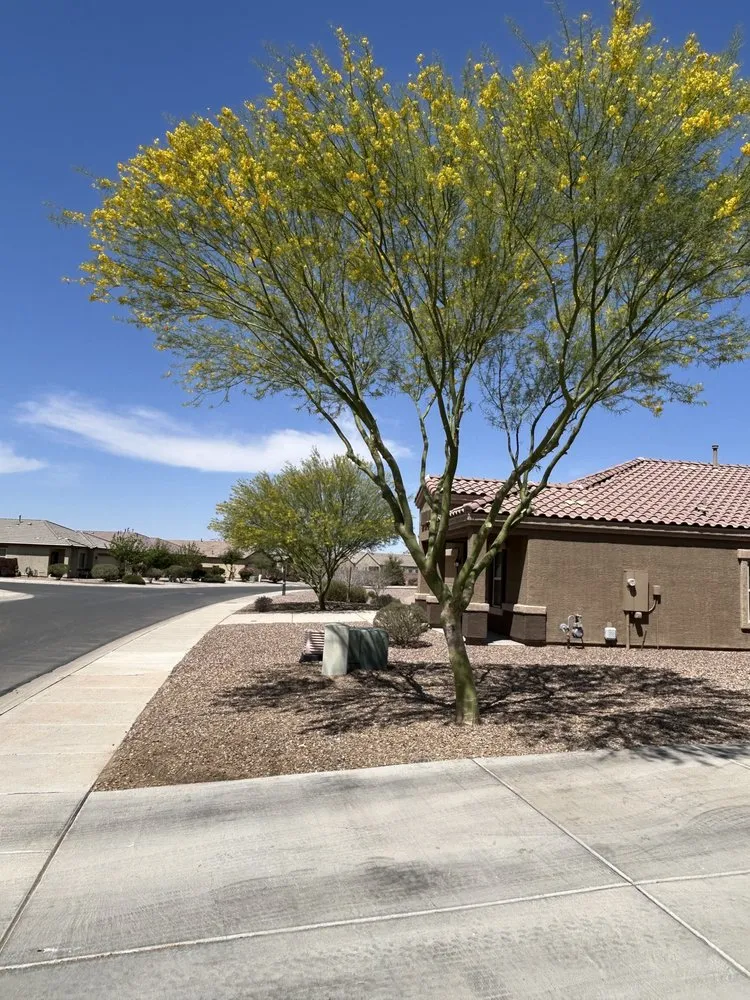 Professional yard maintenance experts serving Tucson, AZ - Crown & Cross Landscape Maintenance