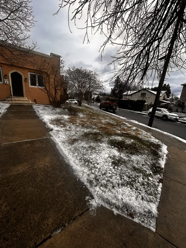 Reliable landscape design in Willow Grove, PA - Crown & Root Tree Works