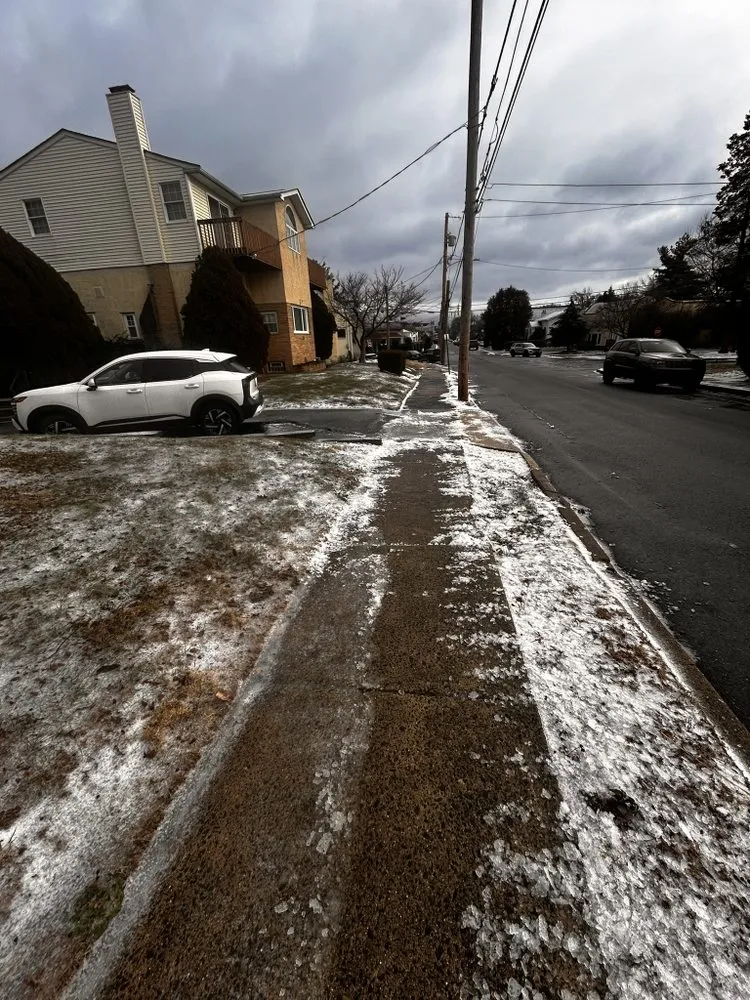 Reliable yard maintenance in Willow Grove, PA - Crown & Root Tree Works