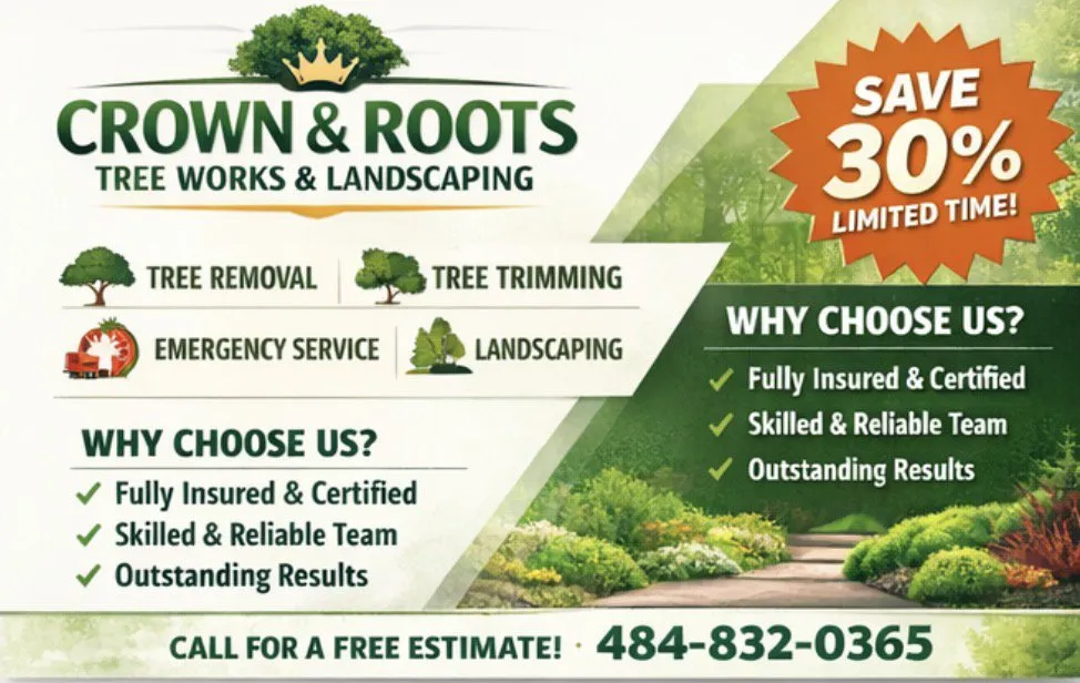Top-rated landscaping services for year-round maintenance across Willow Grove, PA - Crown & Root Tree Works