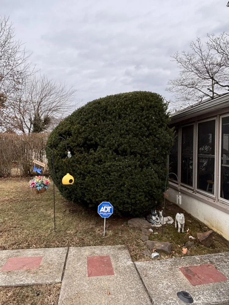 Custom landscaping services in Willow Grove, PA by Crown & Root Tree Works