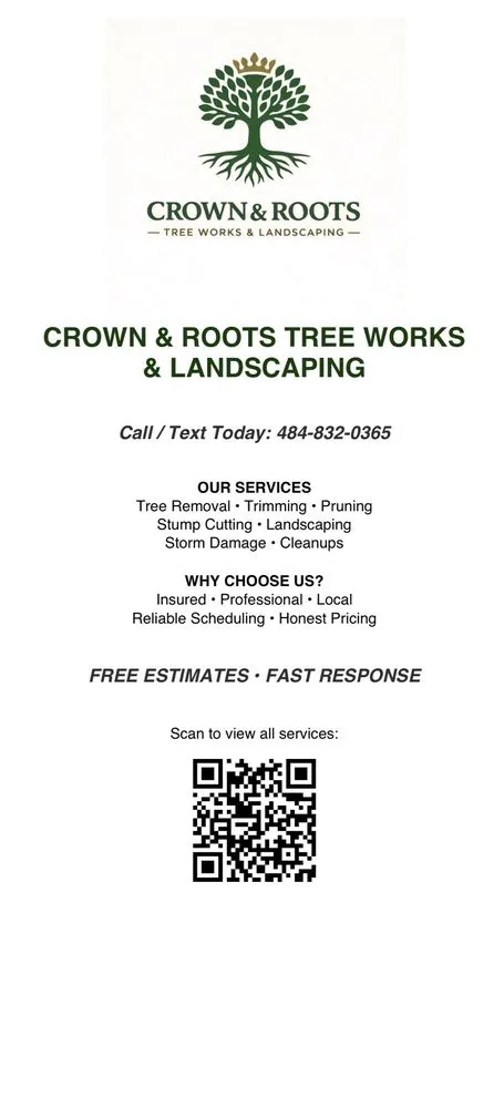 Custom outdoor landscaping for beautiful yards across Willow Grove, PA - Crown & Root Tree Works