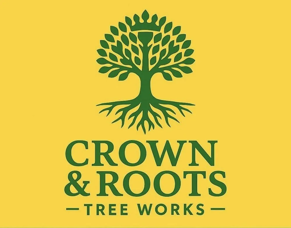 Affordable lawn mowing service for year-round maintenance across Willow Grove, PA - Crown & Root Tree Works