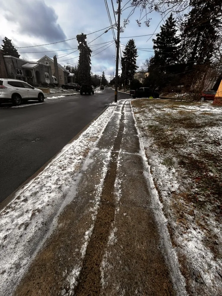 Local lawn mowing service for outdoor upgrades across Willow Grove, PA - Crown & Root Tree Works