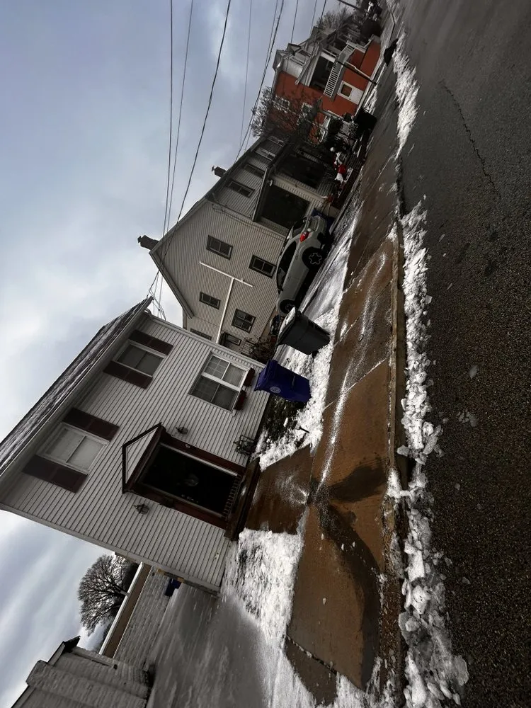 Trusted outdoor landscaping in Willow Grove, PA by Crown & Root Tree Works