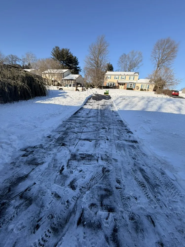 Affordable lawn care service for year-round maintenance in Willow Grove, PA by Crown & Root Tree Works