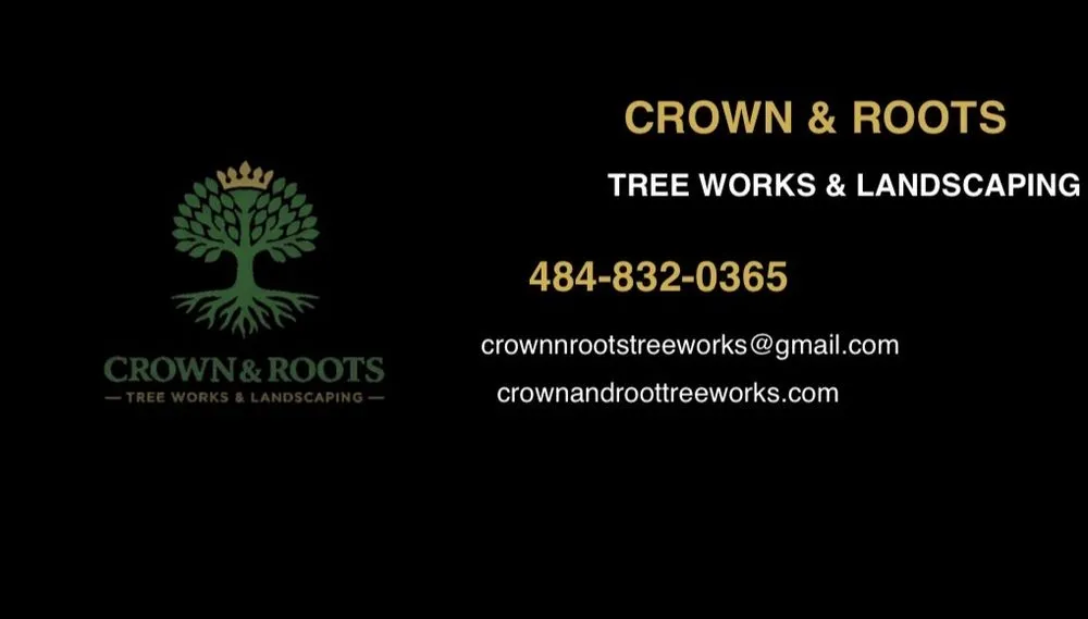 Professional lawn mowing service for residential properties across Willow Grove, PA - Crown & Root Tree Works