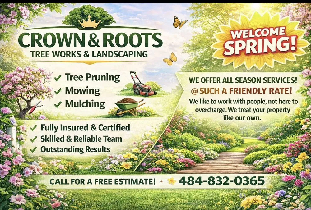 Trusted yard maintenance in Willow Grove, PA by Crown & Root Tree Works