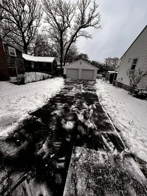 Crown & Root Tree Works