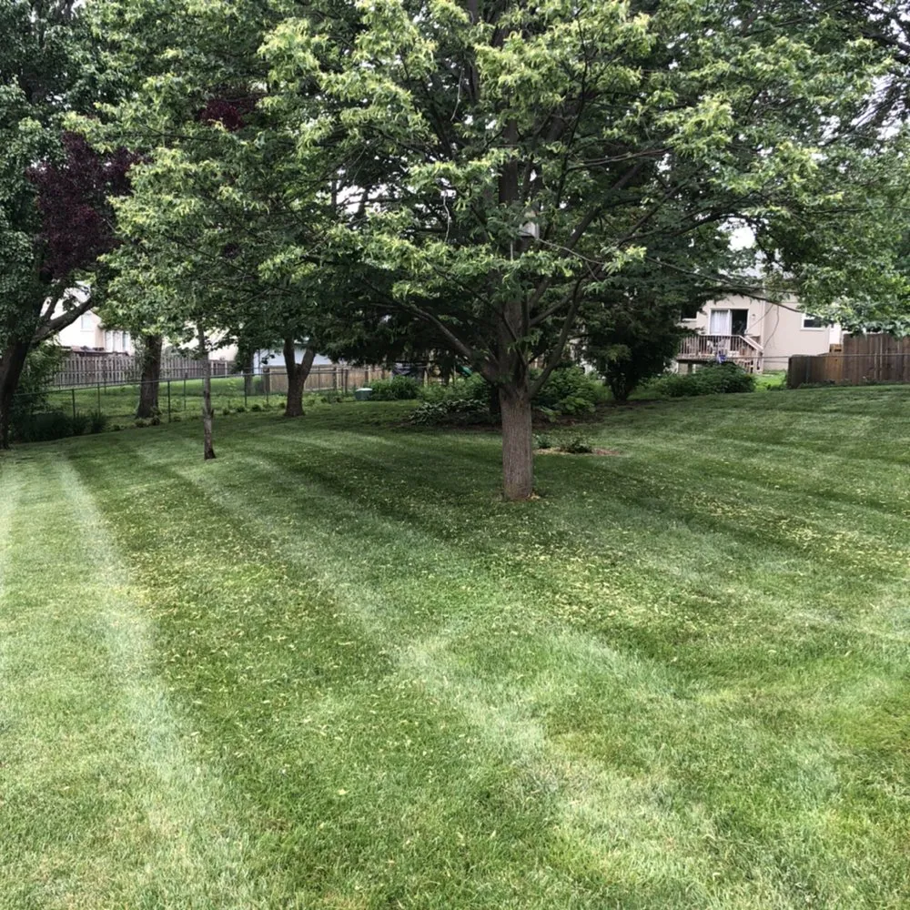Trusted landscape installation in Blue Springs, MO by Crown Cuts Lawncare