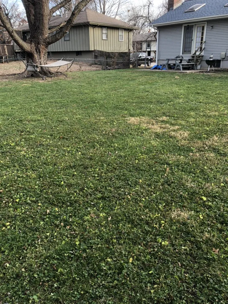 Custom lawn care service in Blue Springs, MO by Crown Cuts Lawncare