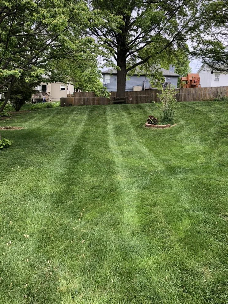 Local lawn care service in Blue Springs, MO by Crown Cuts Lawncare