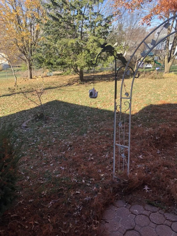 Reliable yard cleanup service with custom design across Blue Springs, MO - Crown Cuts Lawncare