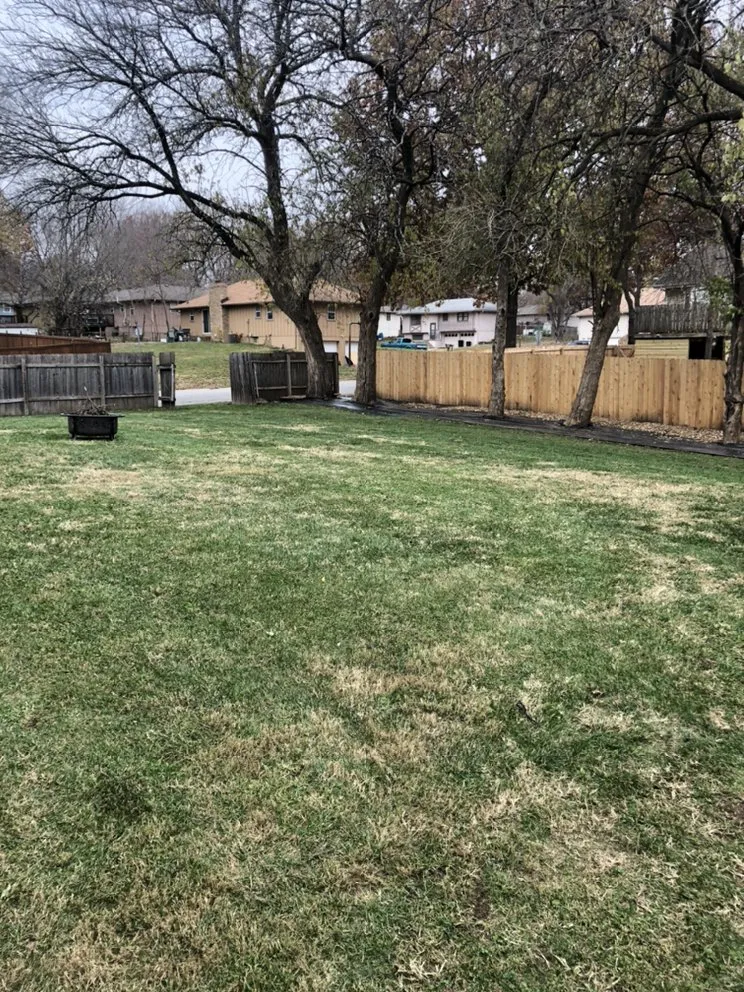 Local landscape design in Blue Springs, MO by Crown Cuts Lawncare