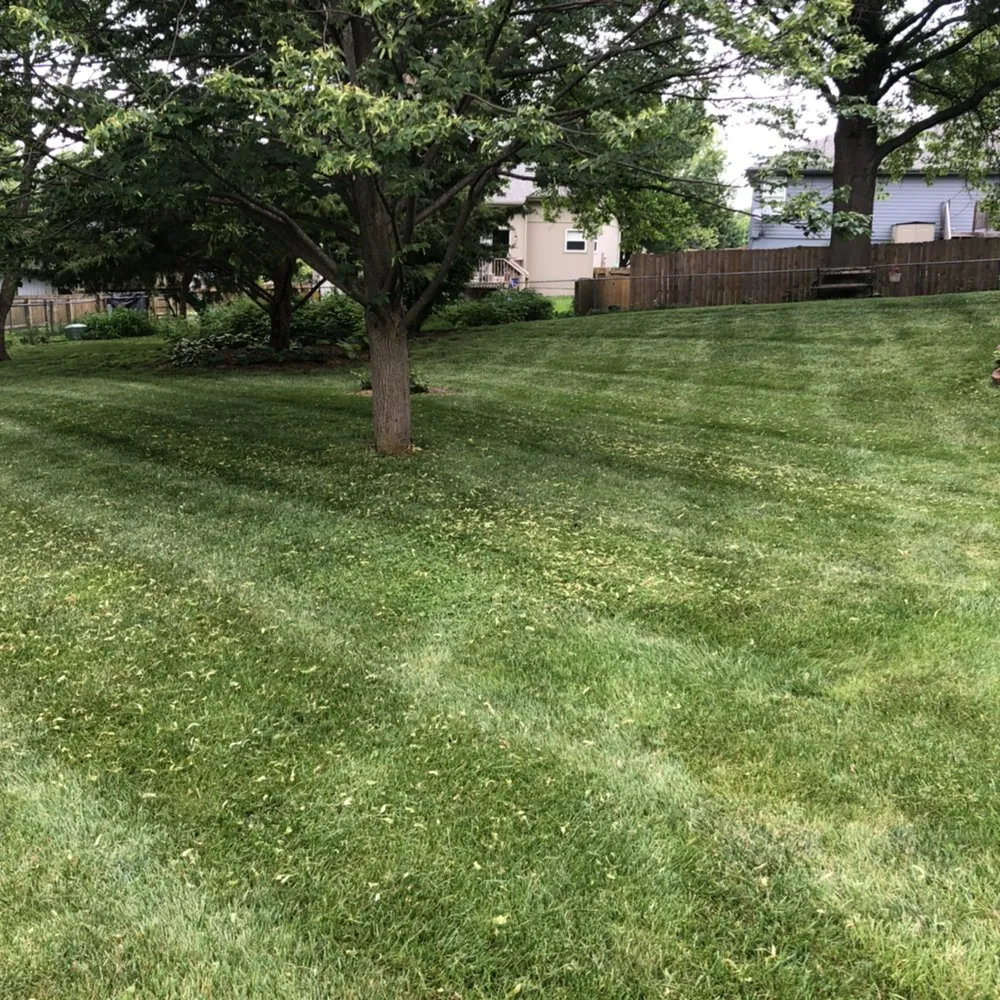 Expert lawn care service in Blue Springs, MO by Crown Cuts Lawncare