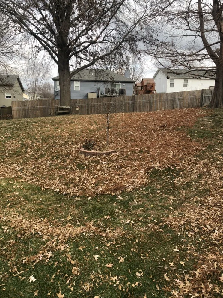 Trusted landscaping services experts serving Blue Springs, MO - Crown Cuts Lawncare