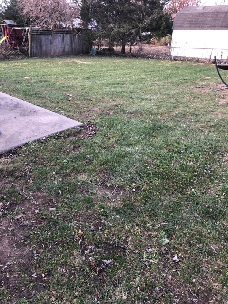 Professional lawn mowing service experts serving Blue Springs, MO - Crown Cuts Lawncare