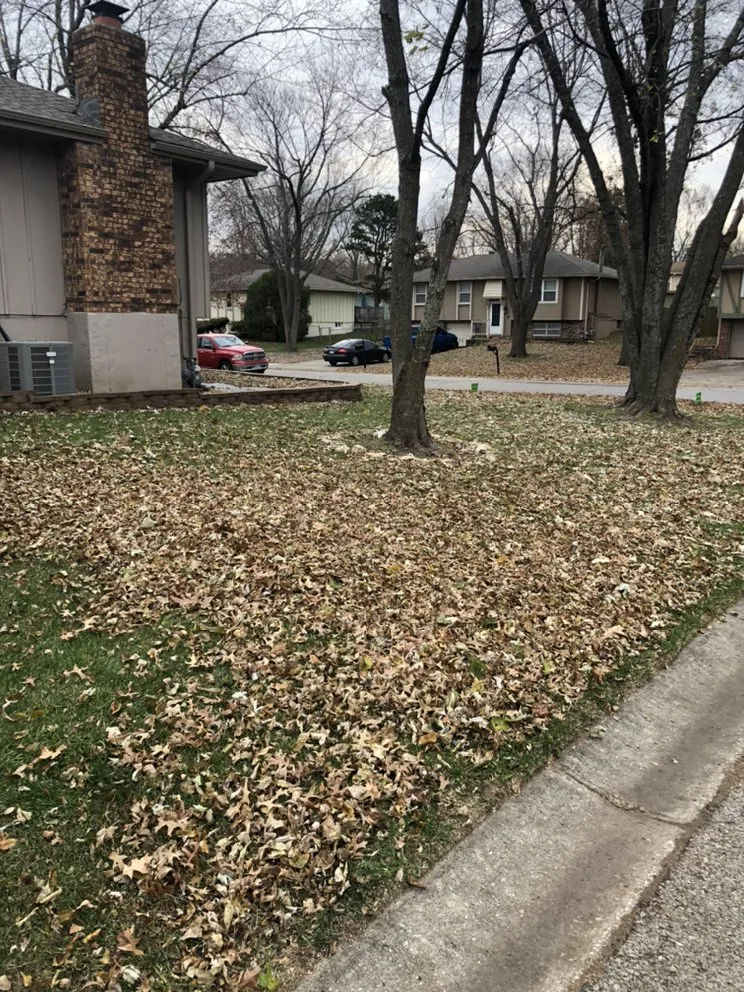 Professional landscape installation in Blue Springs, MO - Crown Cuts Lawncare