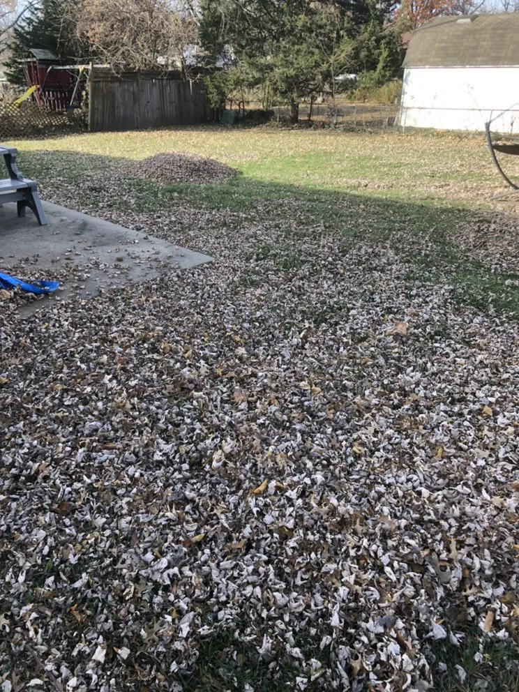 Affordable garden landscaping in Blue Springs, MO - Crown Cuts Lawncare