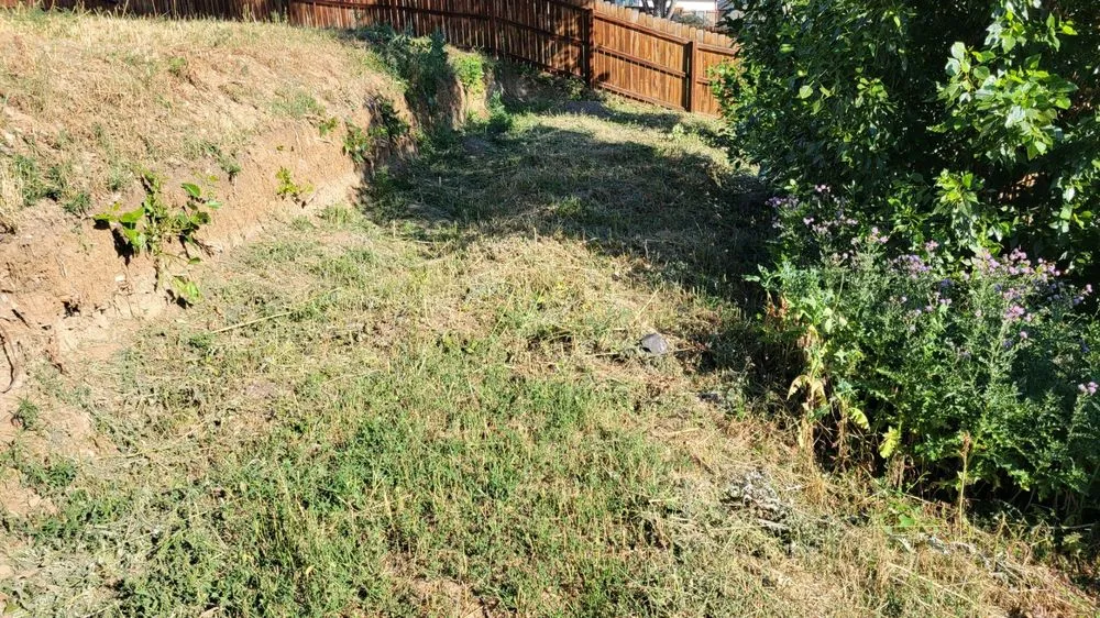Expert lawn care service in Arvada, CO - Crown Hill Landscaping