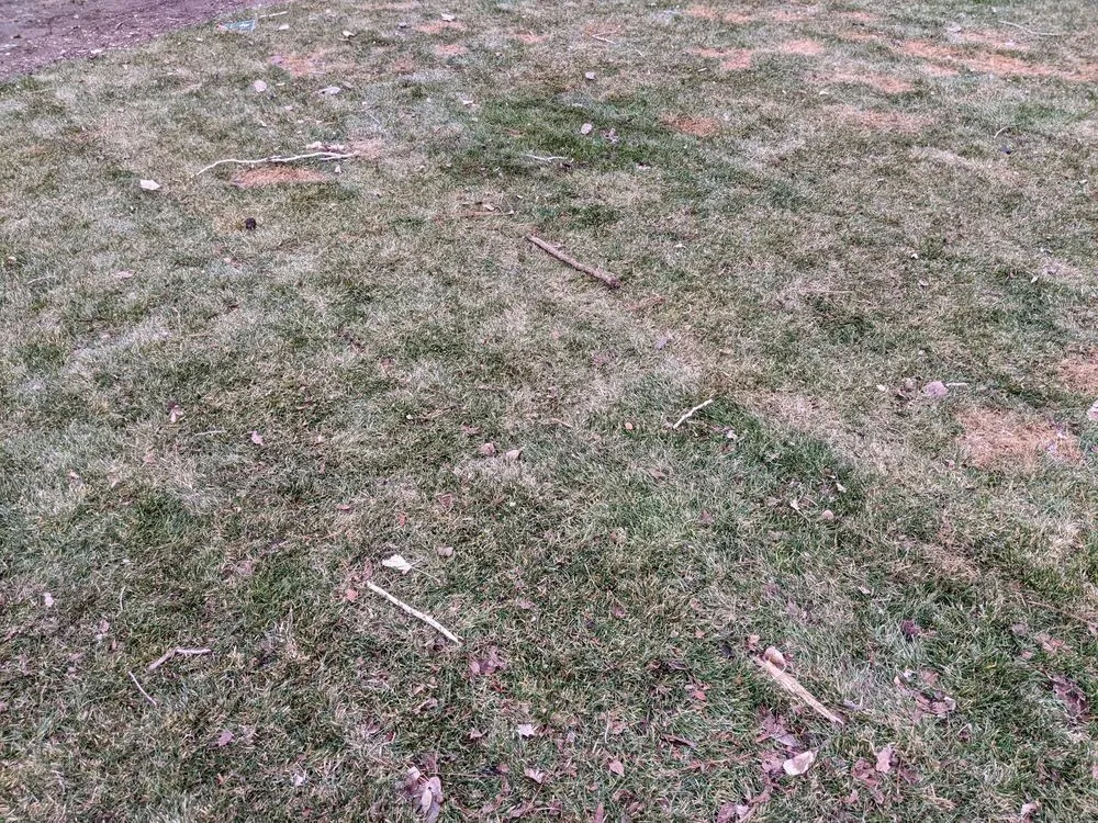 Top-rated outdoor landscaping for year-round maintenance in Sparks, NV by Crown Landscape and Pest Control