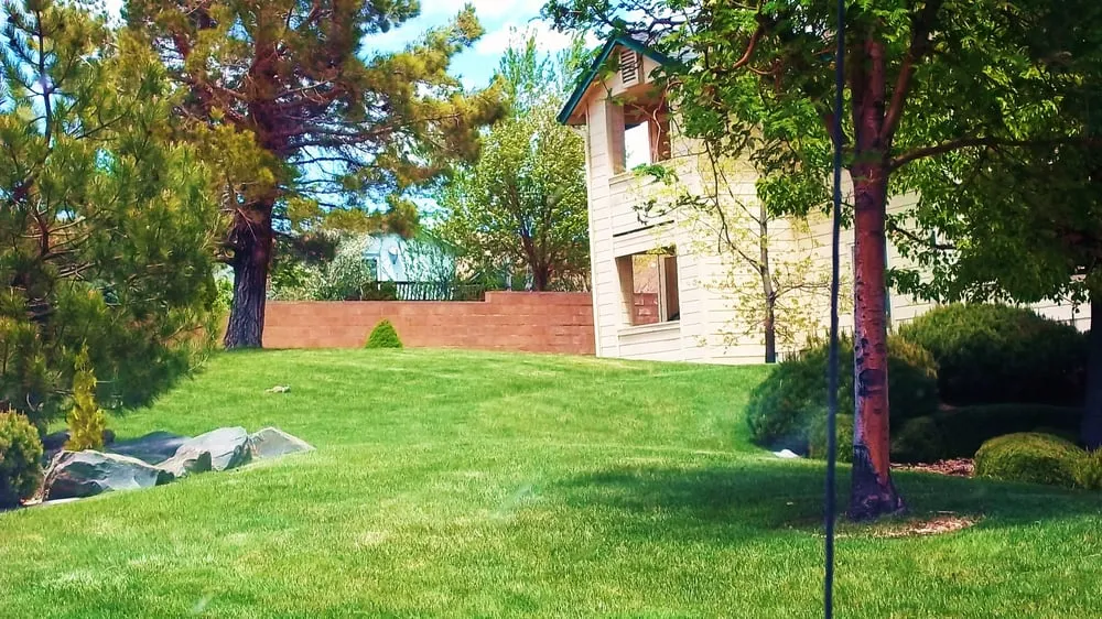 Custom landscape design in Sparks, NV - Crown Landscape and Pest Control