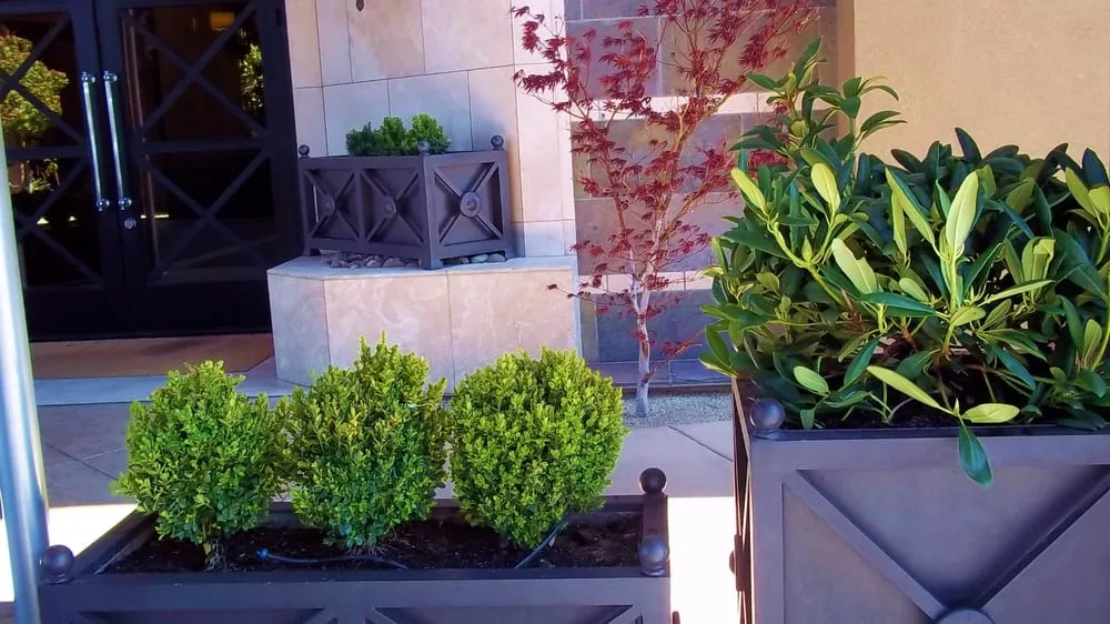Custom garden landscaping in Sparks, NV - Crown Landscape and Pest Control