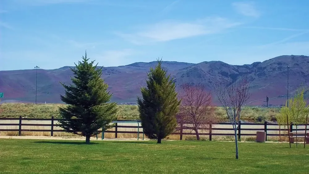 Trusted landscape design for outdoor upgrades across Sparks, NV - Crown Landscape and Pest Control