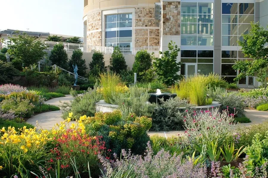 Trusted lawn mowing service experts serving American Canyon, CA - Crown Landscape Contractors