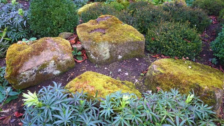 Professional residential landscaping for beautiful yards in North Palm Beach, FL by Crown Pest Management And Landscaping